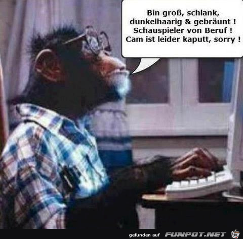 chat chat