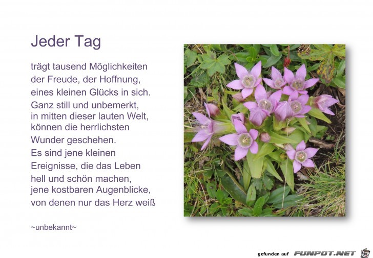 Jeder Tag-1