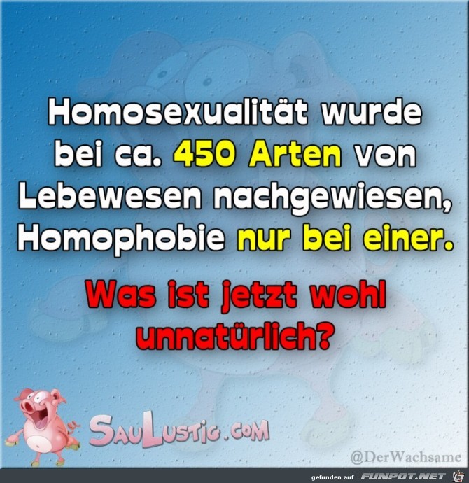 Homosexualitaet