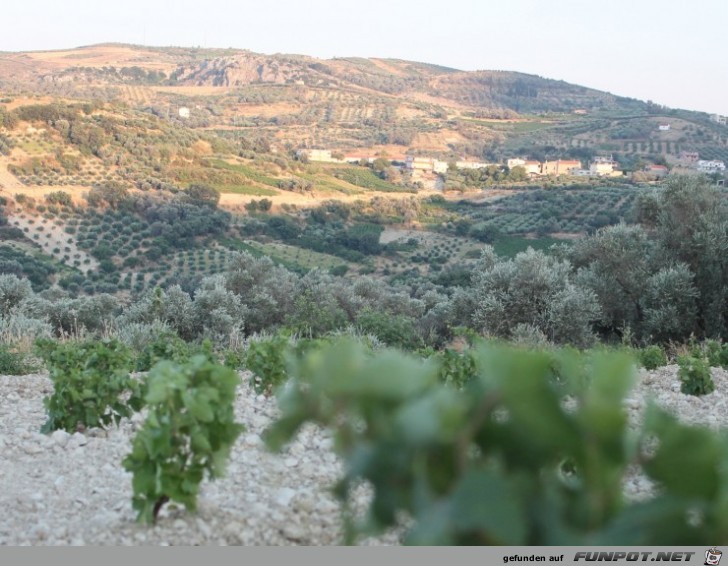 Die schoensten Wein-Gegenden der Welt 27