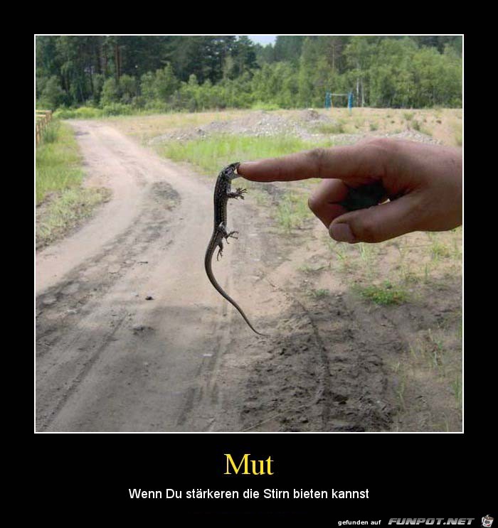 Mut Mut