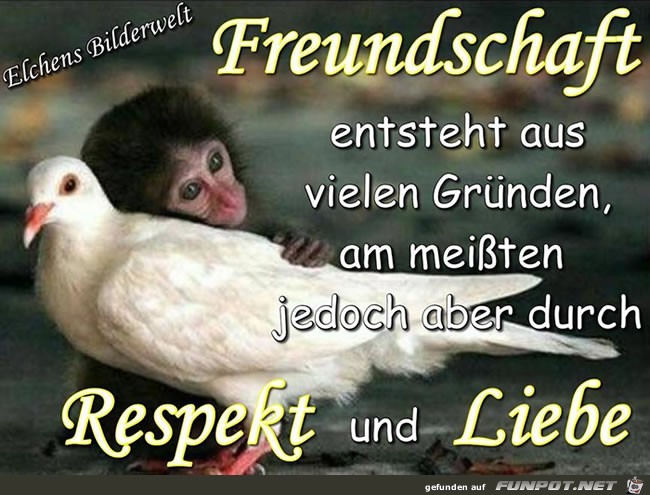 Respekt und Liebe