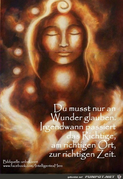 Wunder4 Wunder4
