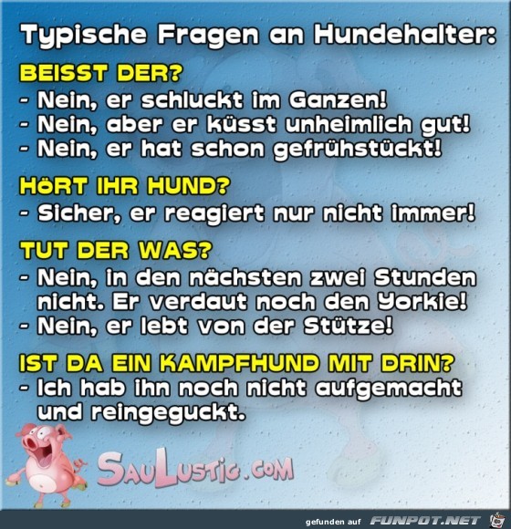 Fragen-an-Hundehalter