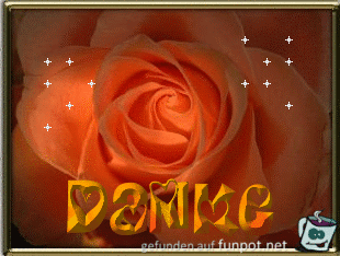 danke00006 danke00006