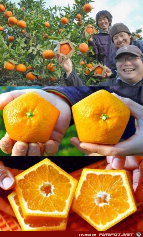 Neues aus China Neues aus China