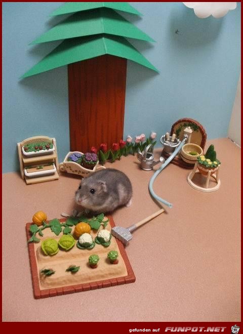 Mouse spielplatz