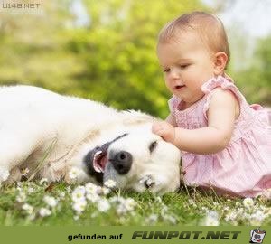 Hundebabysitter