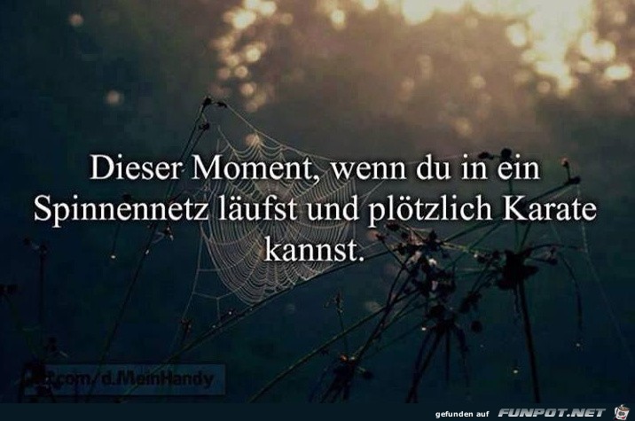 in-ein in-ein