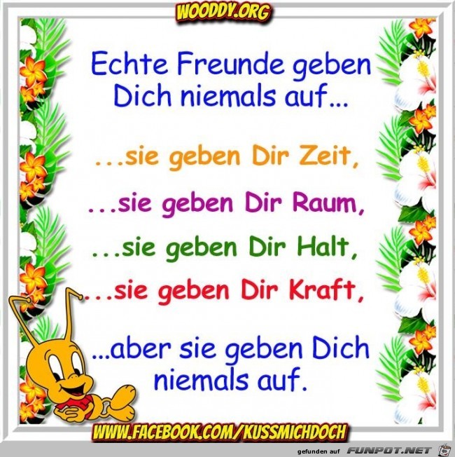 echte Freunde