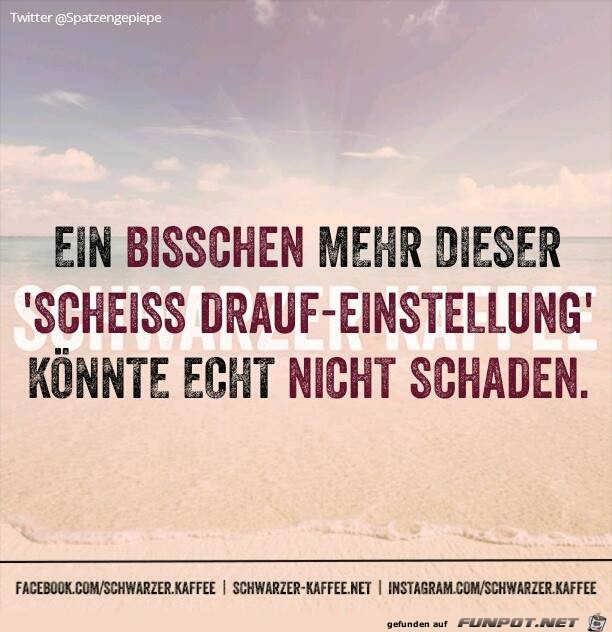 Scheiss drauf Scheiss drauf