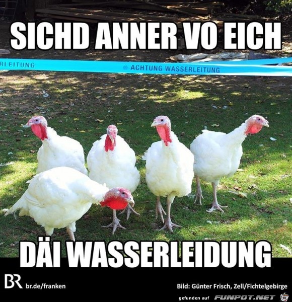 Wasserleitung