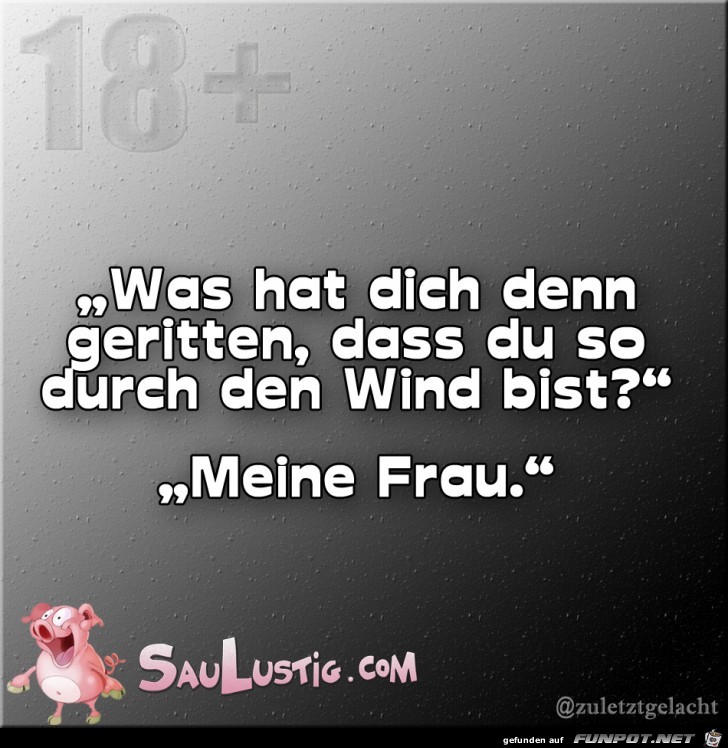 Was-hat-Dich-geritten