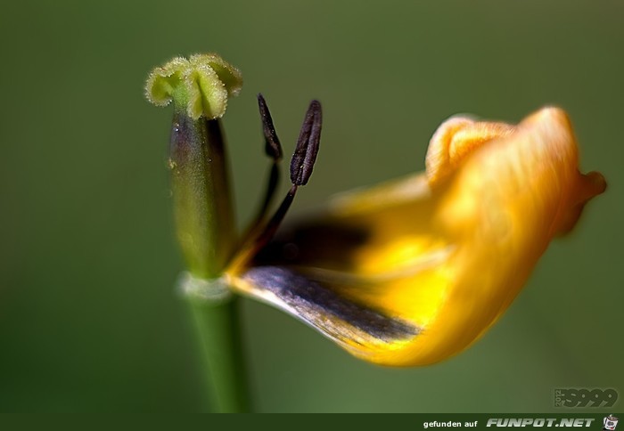 Wow-Bilder! Anschauen und genieen!