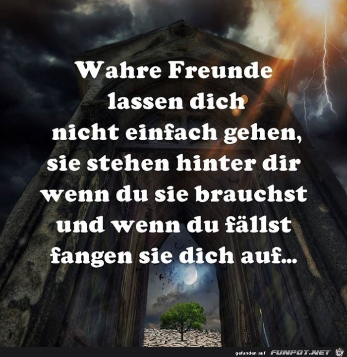 wahre Freunde