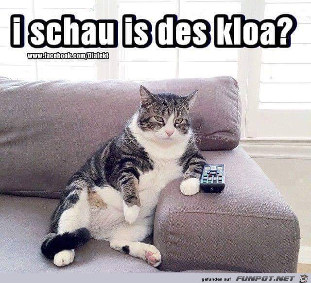ist das klein ist das klein