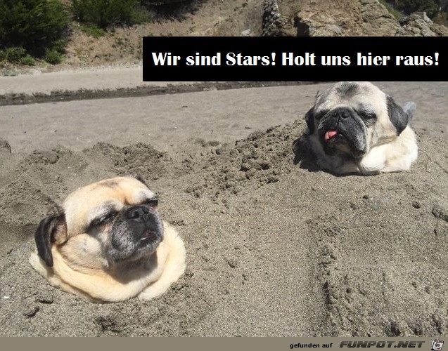 Stars Stars