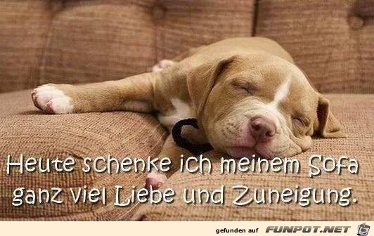 sofa sofa