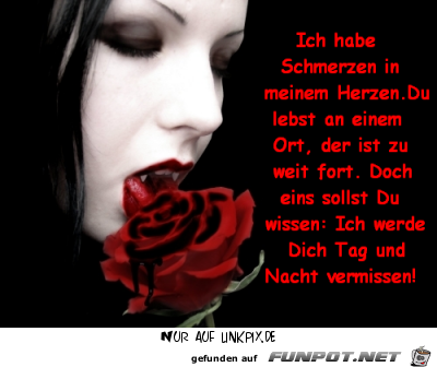ich habe schmerzen ich habe schmerzen