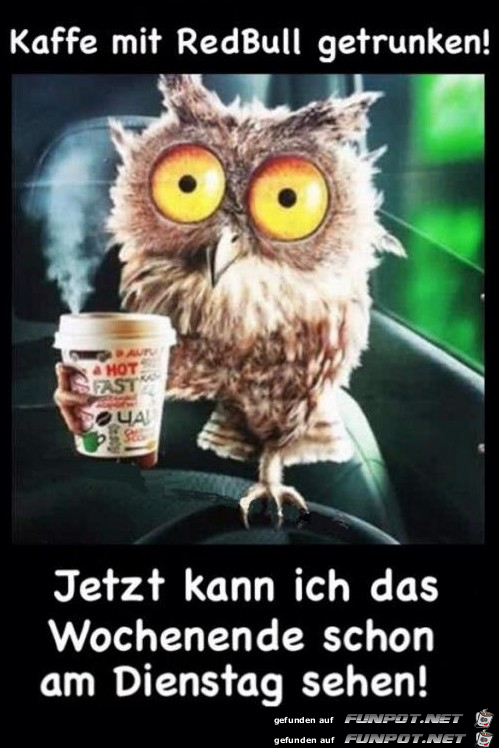 Kaffee mit Redbull getrunken... Kaffee mit Redbull getrunken...