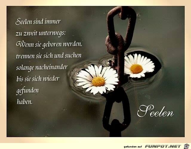 Seelen Seelen