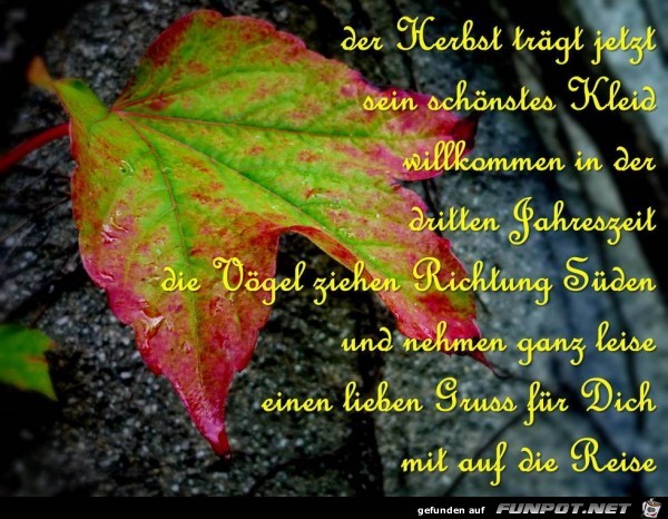 der herbst der herbst