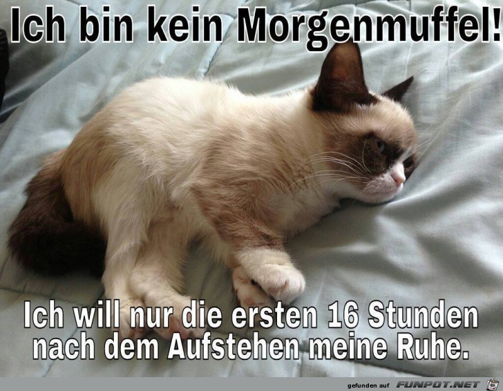 kein Morgenmuffel