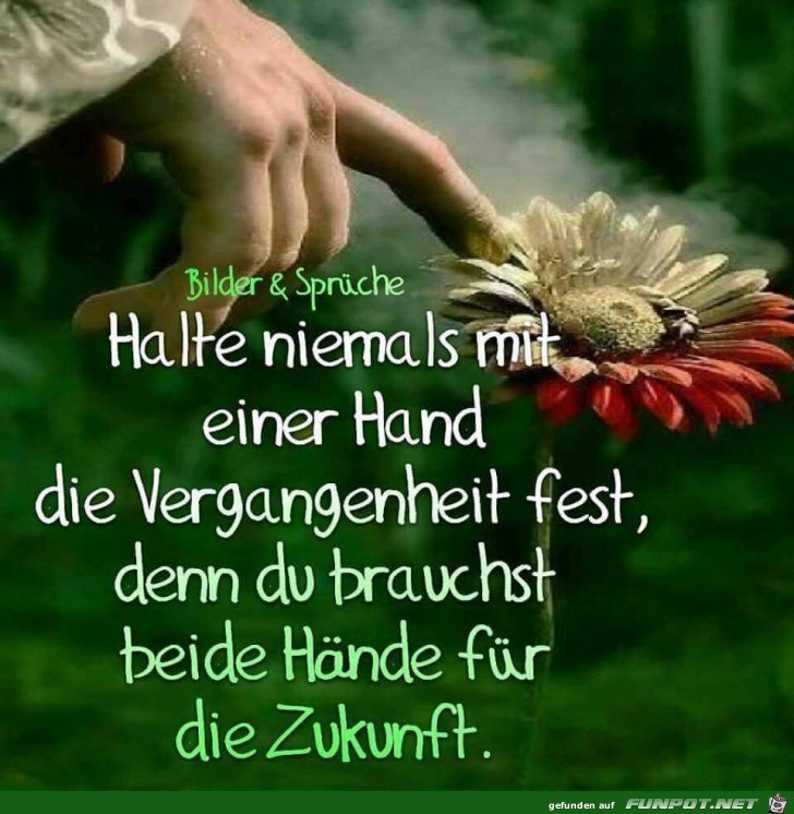 Halte niemals mit einer Hand