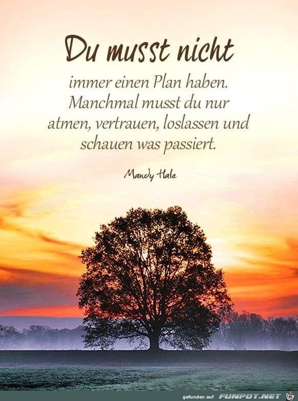 du musst nicht