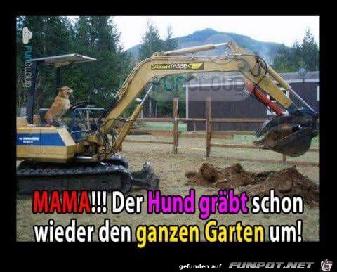 MAMA der Hund