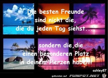 die besten freunde sind nicht die die du jeden tag siehst