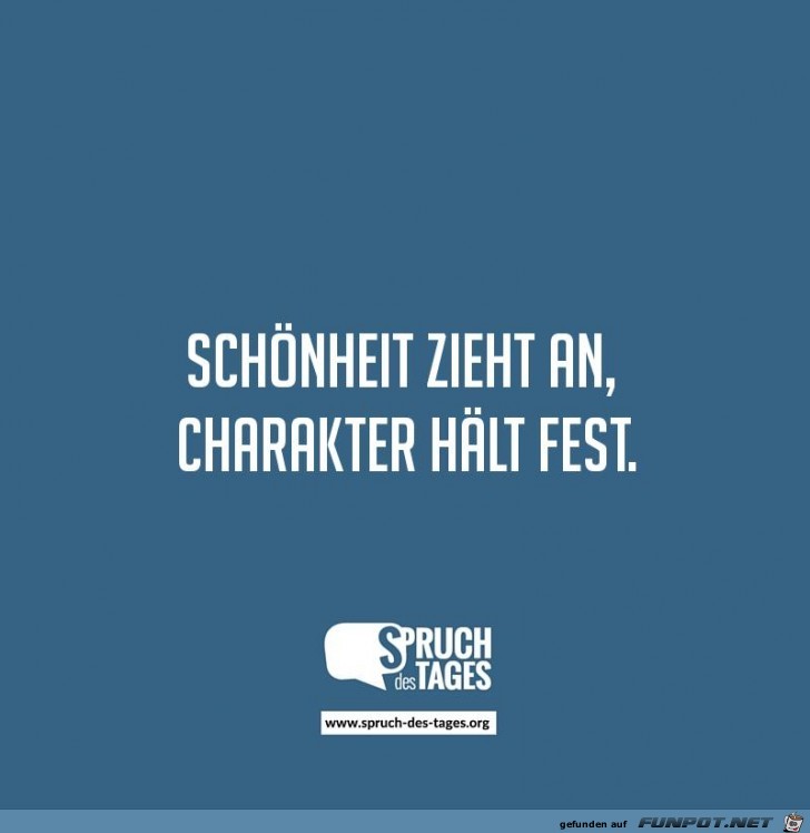 schoenheit-zieht-an-