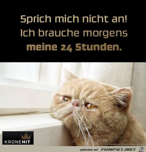 Sprich mich nicht an