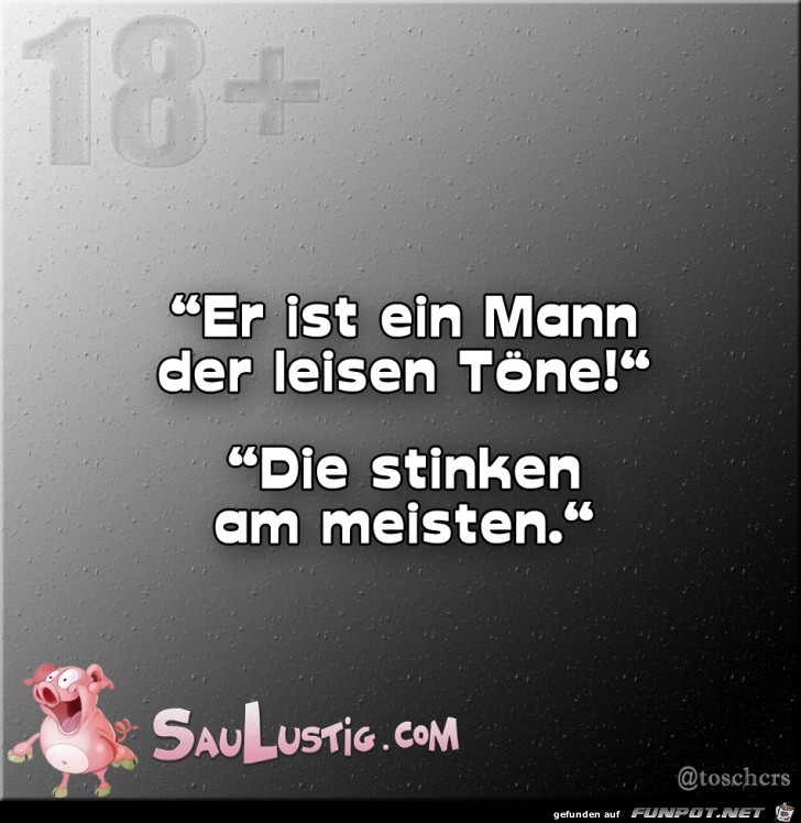 Ein-Mann-der-leisen-Toene