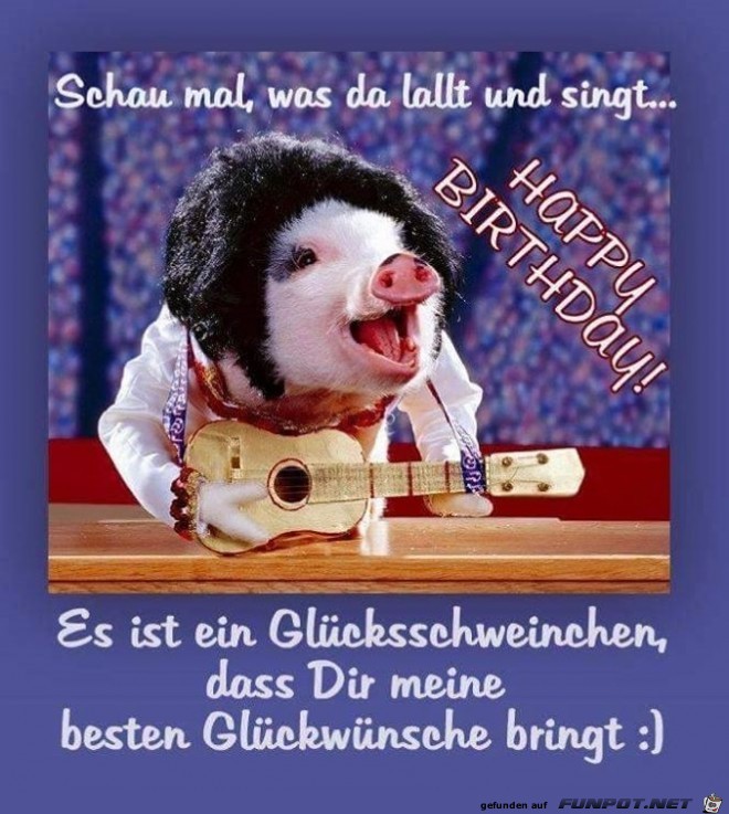 gluecksschweinchen gluecksschweinchen