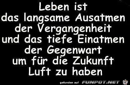 Leben Leben