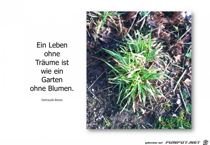 ein Leben ohne Träume ein Leben ohne Träume