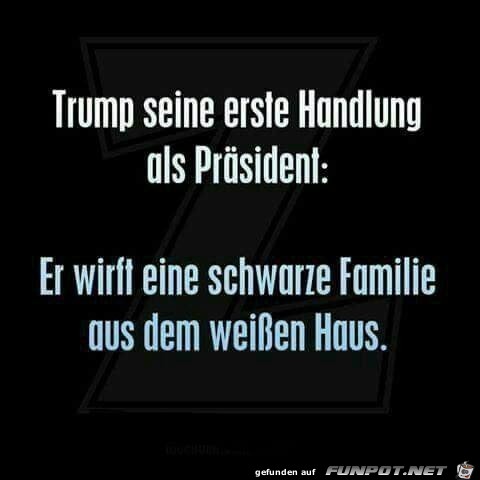 trump trump