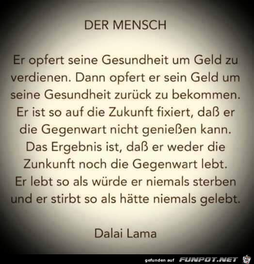 der Mensch