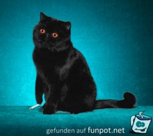 diese Raucher diese Raucher