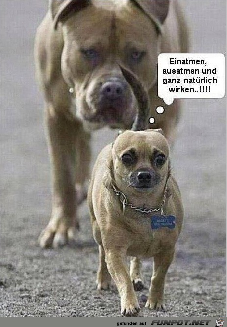 atmen atmen
