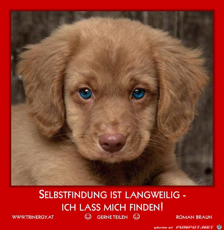 langweilig langweilig