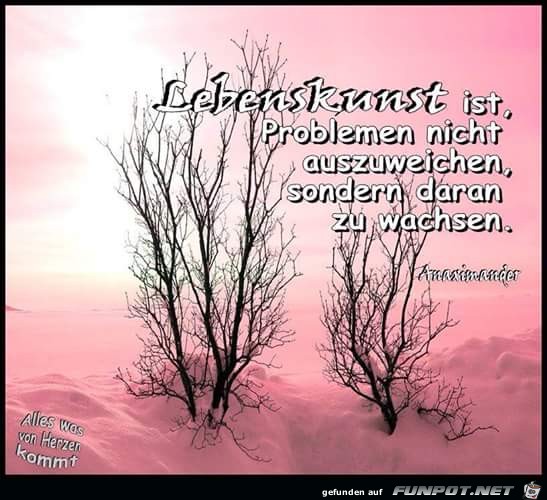 lebenskunst lebenskunst