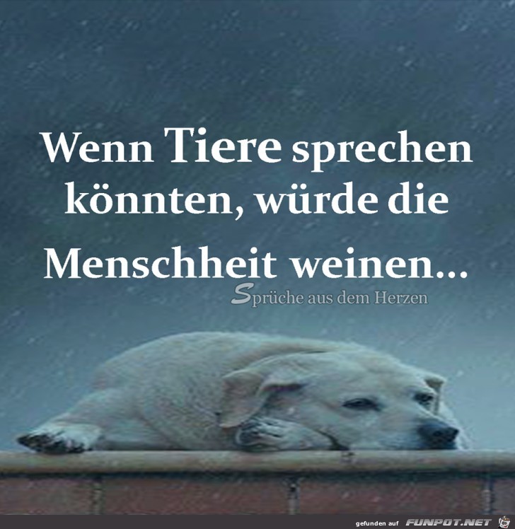 Wenn Tiere