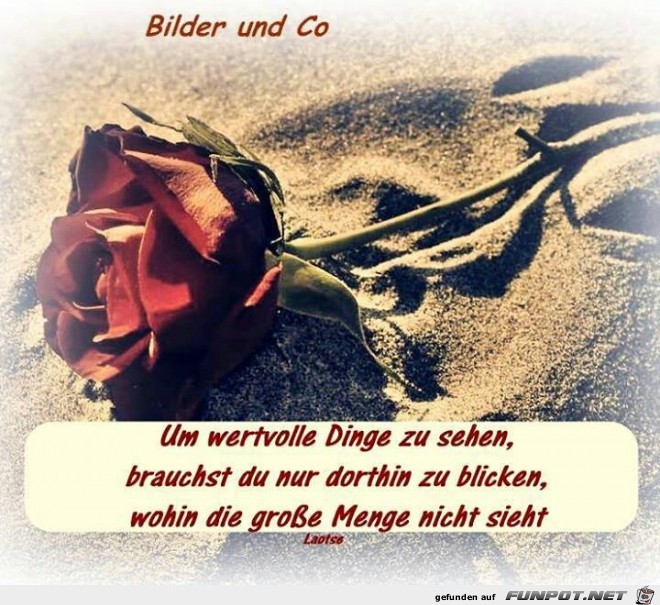 wertvolle Dinge wertvolle Dinge