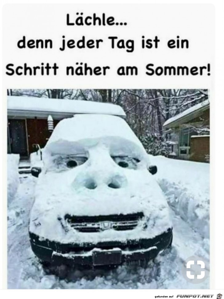 laechle laechle