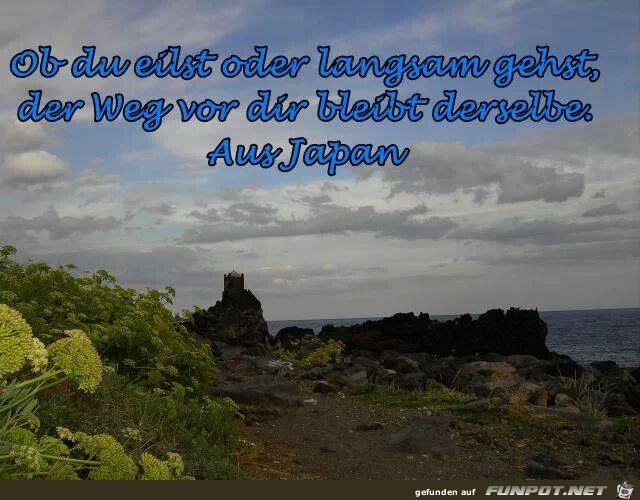ob du eilst oder langsam gehst... ob du eilst oder langsam gehst...