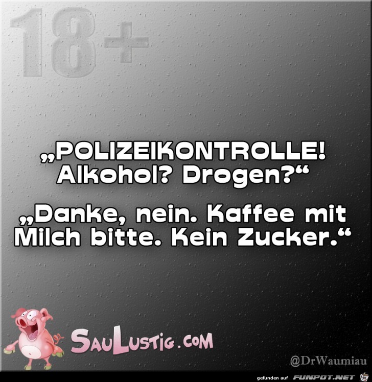 Polizeikontrolle Polizeikontrolle