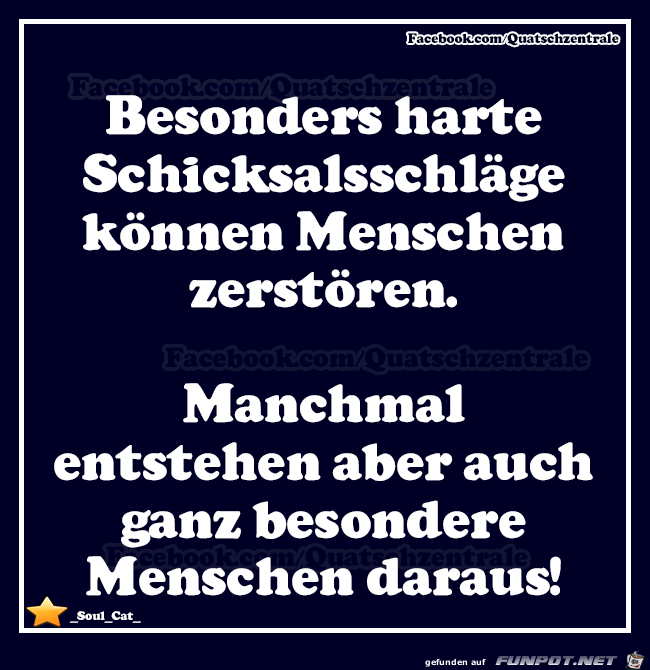 Schicksalsschlaege Schicksalsschlaege