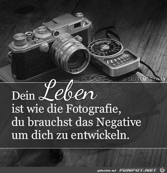 Fotografie